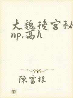 大魏后宫秘史(np,高h 大魏后宫秘史(np,高h