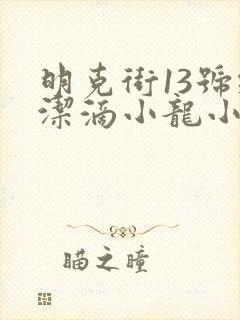 明克街13号纯洁滴小龙小说未删减版