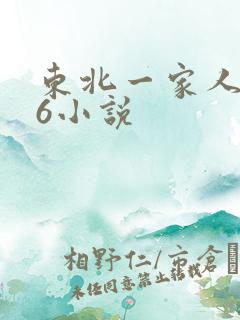 东北一家人1一6小说