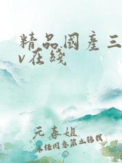 精品国产三级av在线