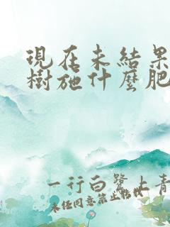 现在未结果的果树施什么肥好