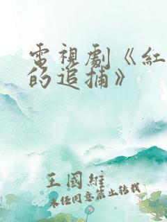 电视剧《红岩下的追捕》