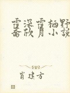 霍深霍栖野夏稚乔欣月小说完整