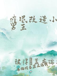催眠改造小说双男主
