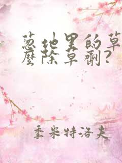 葱地里的草用什么除草剂?