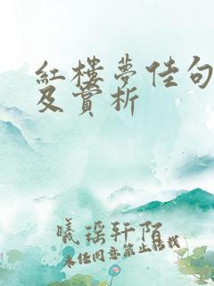 红楼梦佳句佳段及赏析