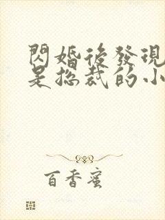 闪婚后发现老公是总裁的小说