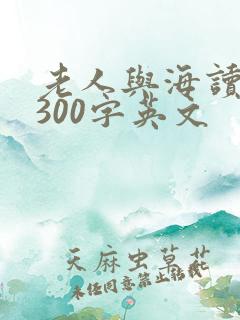 老人与海读后感300字英文