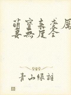 萌宝来袭厉总宠妻无度全