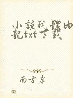 小说我体内有条龙txt下载