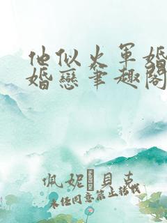 他似火军婚高干婚恋笔趣阁完整版