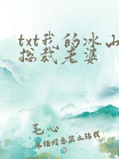 txt我的冰山总裁老婆