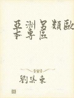 亚洲另类欧美日本专区