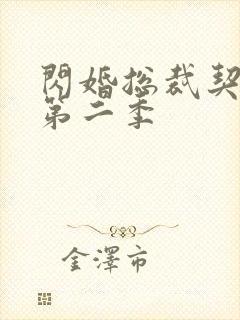 闪婚总裁契约妻第二季