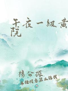 午夜一级黄色影院