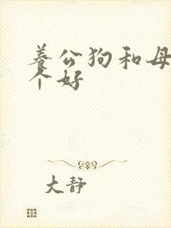 养公狗和母狗哪个好