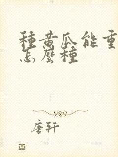 种黄瓜能重茬吗怎么种