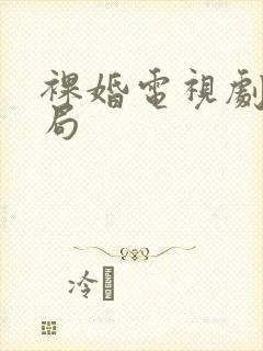 裸婚电视剧大结局