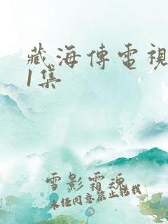 藏海传电视剧31集