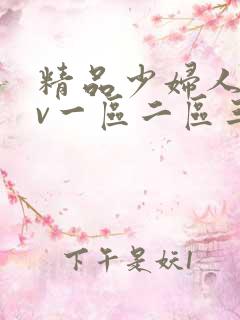 精品少妇人妻av一区二区三区