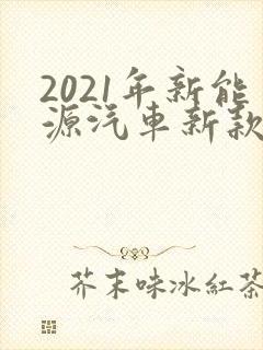 2021年新能源汽车新款
