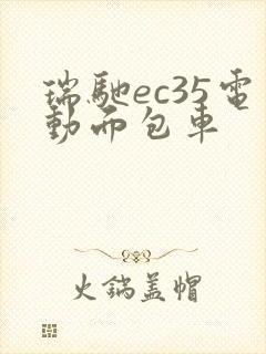 瑞驰ec35电动面包车