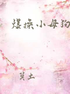 爆操小母狗h