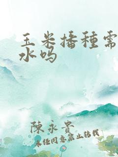 玉米播种需要浇水吗