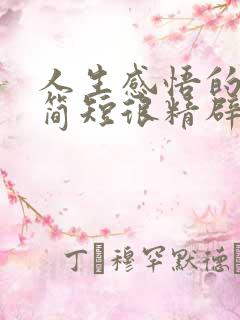 人生感悟的句子简短很精辟的那种