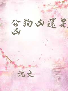 公狗凶还是母狗凶
