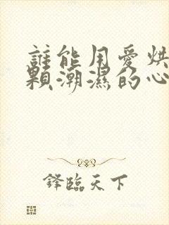 谁能用爱烘干这颗潮湿的心歌词 谁能用爱烘干这颗潮湿的心歌词