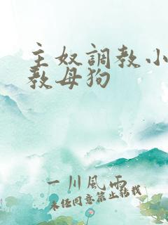 主奴调教小说调教母狗
