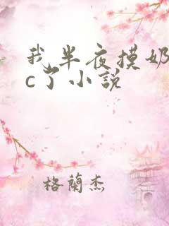 我半夜摸奶把她c了小说