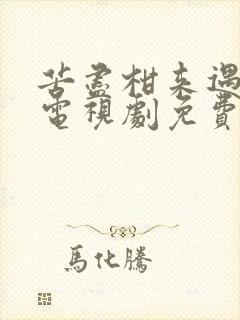 苦尽柑来遇见你电视剧免费观看在哪里看