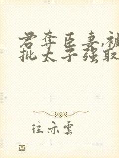 君夺臣妻,被疯批太子强取豪夺桑窈