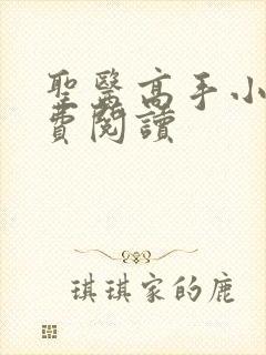 圣医高手小说免费阅读