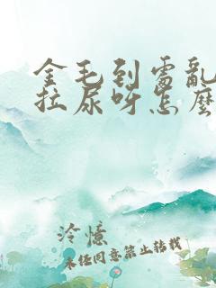 金毛到处乱拉屎拉尿呀怎么办呀