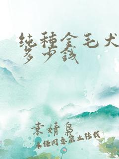 纯种金毛犬价格多少钱