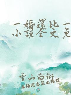 一婚还比一婚高小说全文免费阅读