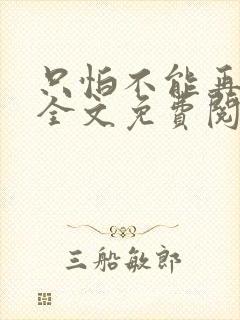 只怕不能再爱你全文免费阅读