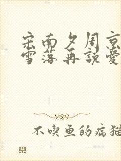 宋南夕周京泽《雪落再说爱你》