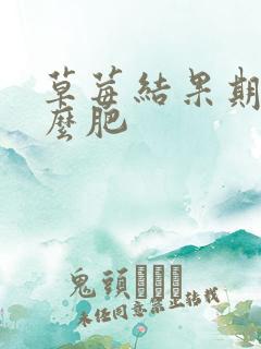 草莓结果期施什么肥