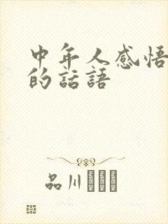 中年人感悟人生的话语
