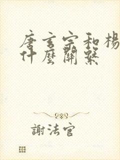 唐玄宗和杨贵妃什么关系