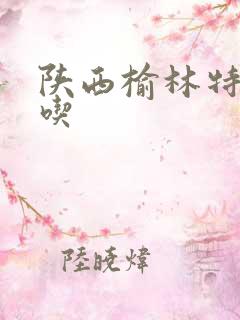 陕西榆林特产小吃