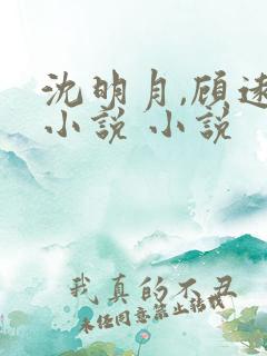 沈明月,顾远舟小说 小说
