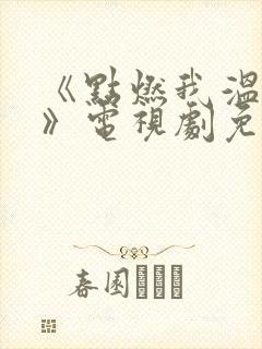 《点燃我温暖你》电视剧免费观看