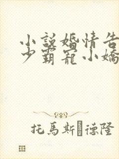 小说婚情告急顾少霸宠小娇妻