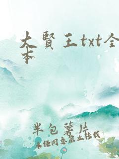 大贤王txt全本