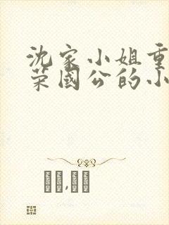 沈家小姐重生嫁荣国公的小说
